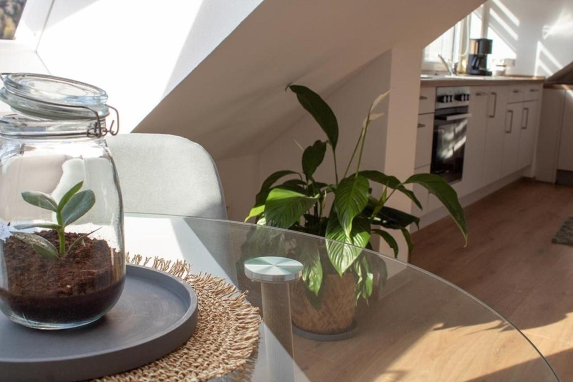 Ferienwohnung Kurz "Panoramablick" 韦特海姆 外观 照片